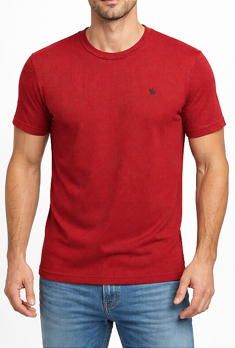 Camiseta masculina manga curta com bordado cavalinho
