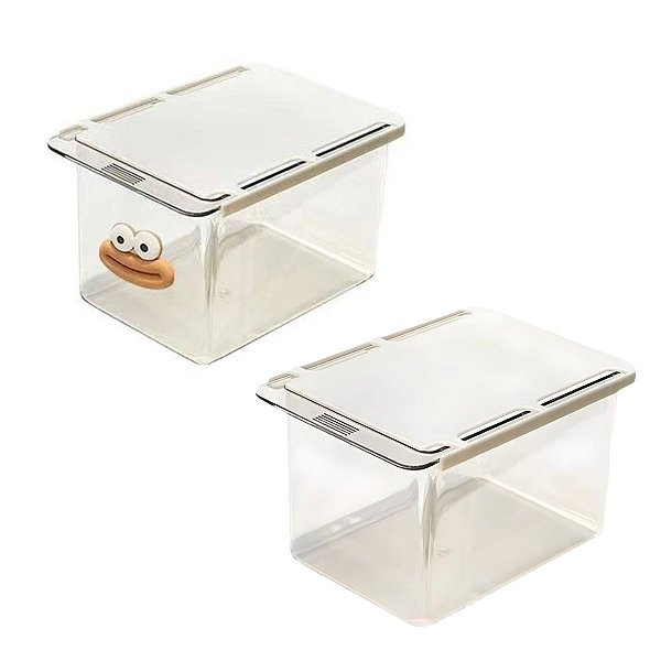 Caixa Organizadora Transparente com Tampa- Allmini