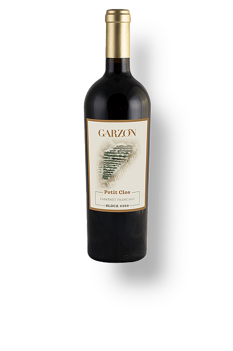 Vinho Garzon Petit Clos Cabernet Franc