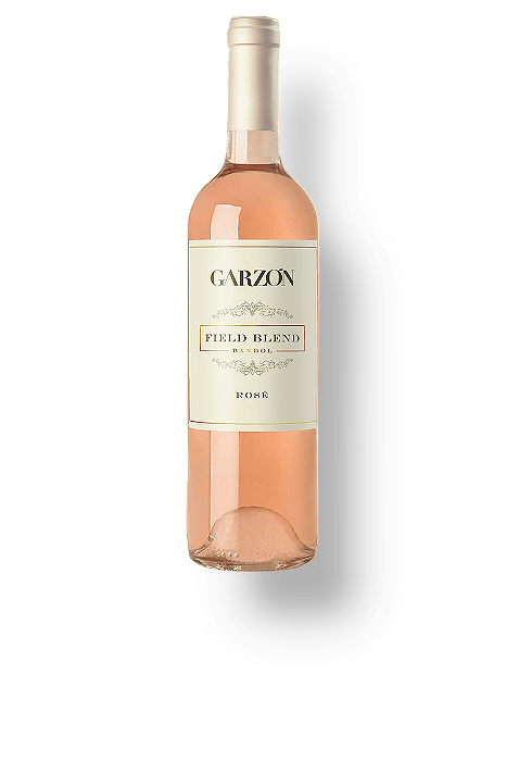 Vinho Garzón Field Blend Bandol