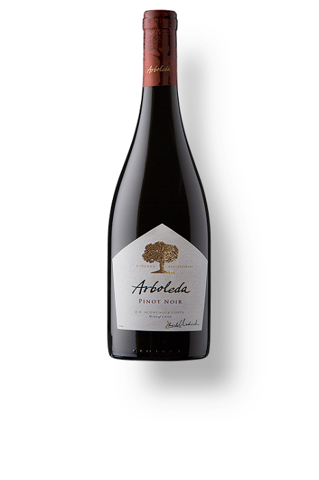 Vinho Arboleda Pinot Noir