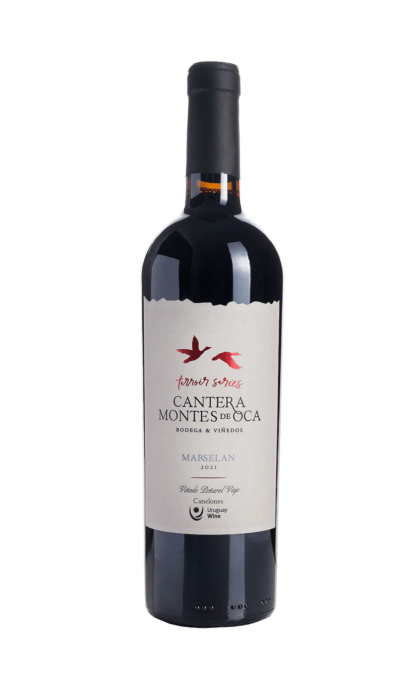 Vinho Cantera Marselan - Terrior Serie 750 ml