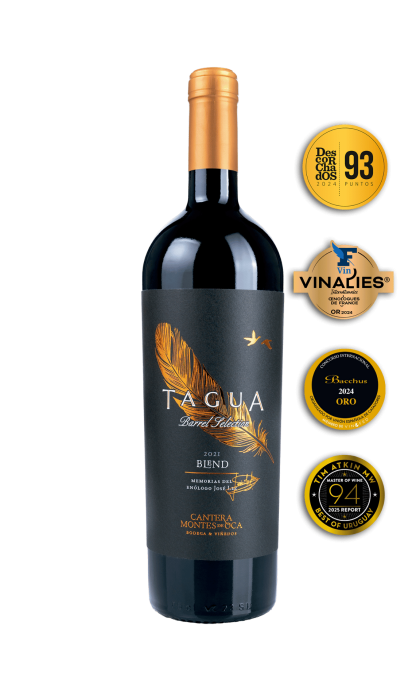 Vinho Cantera Tagua Barrel Selection 750 ml