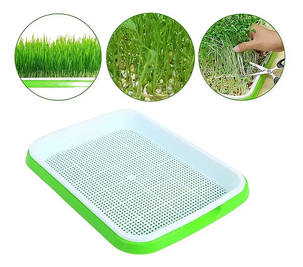 Bandeja Dupla para Germinação de Microverdes/Hidroponia