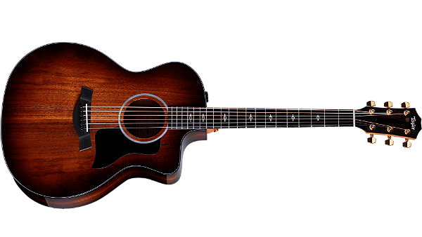 Taylor 224ce K-DLX