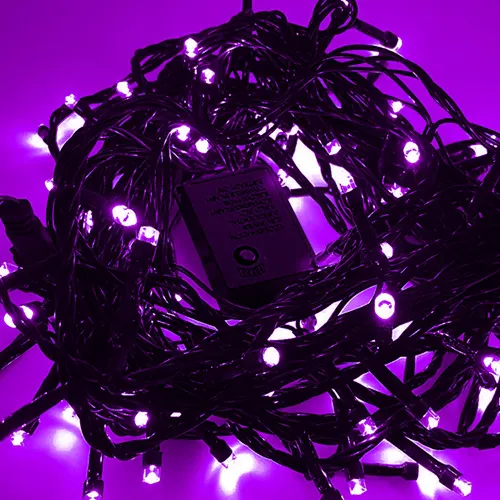 Pisca de Natal 100 Leds Violeta 8 Funções 10 Metros fio verde 220V.