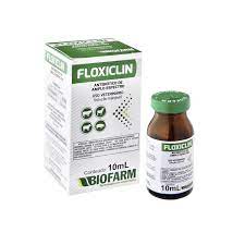 Floxiclin Inj. 10% 10 Ml