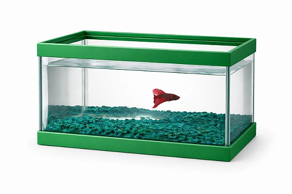 Aquario Beta De Vidro Com Decoracao 7, L