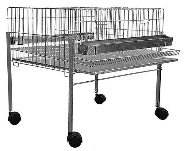 Gaiola Codorna Nova Com Pe Prata Ref. P028 A Pe