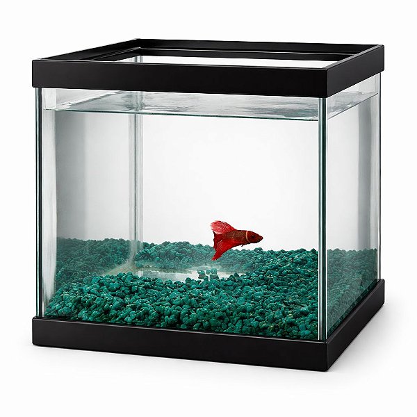 Aquario Beta Quadrado Com Pedras 8 L