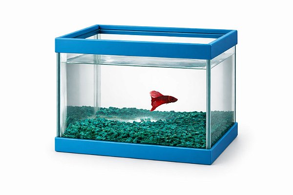 Aquario Beta Retangular Com Pedras 3 L