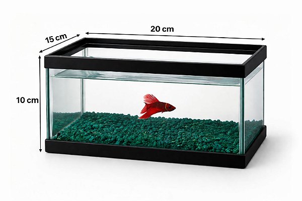 Aquario Beta Retangular Com Pedras 3 L