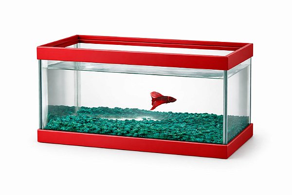 Aquario Beta De Vidro Retangular Com Pedras 4,9 L