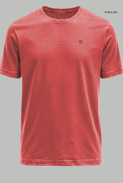 CAMISETA LAVADA STANDARD