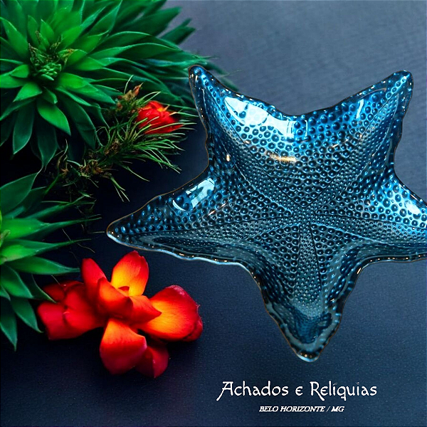 Encantadoras Estrelas do Mar Pérola Marina, na cor azul e branco pérola