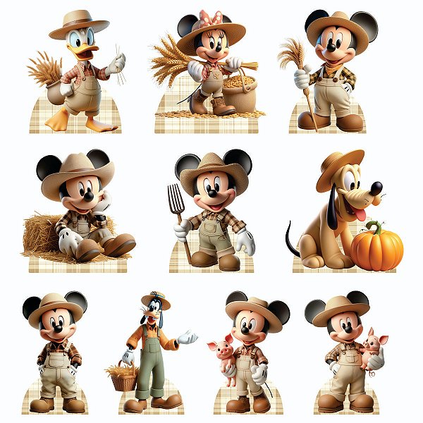 Mickey Fazendeiro Displays
