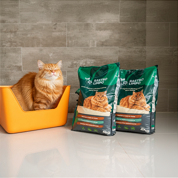 Areia Higiênica para Gatos - 4kg