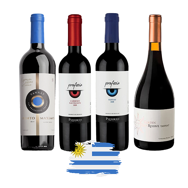 Kit Vinhos Tintos Uruguaios - 4 Unidades