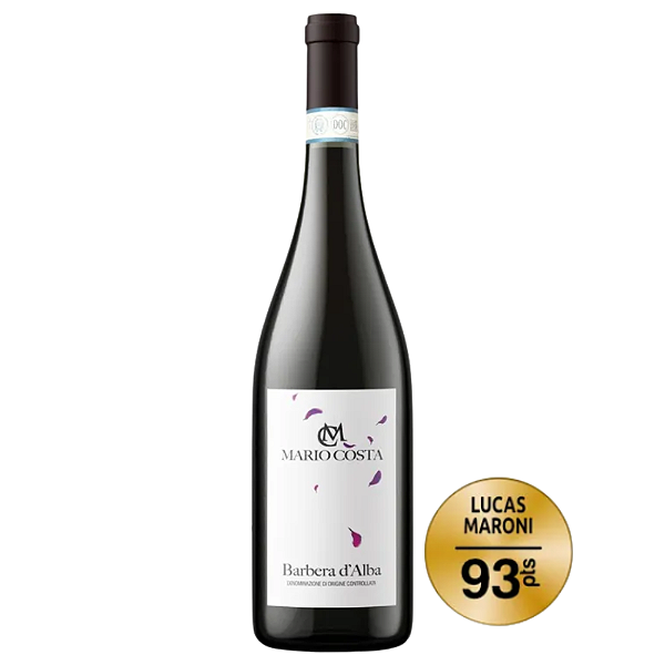 Vinho Tinto Mario Costa Barbera Langhe DOC 750ml