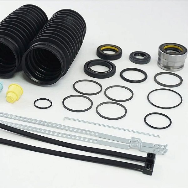 Reparo de Direção Hidráulica do Renault Kangoo Megame