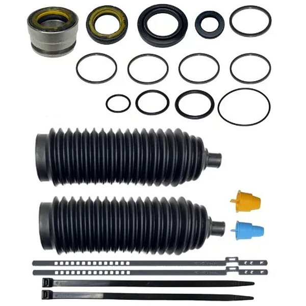 Reparo de Direção Hidráulica do Renault Senic Duster