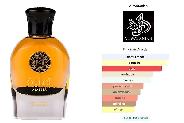Amnia 100ml