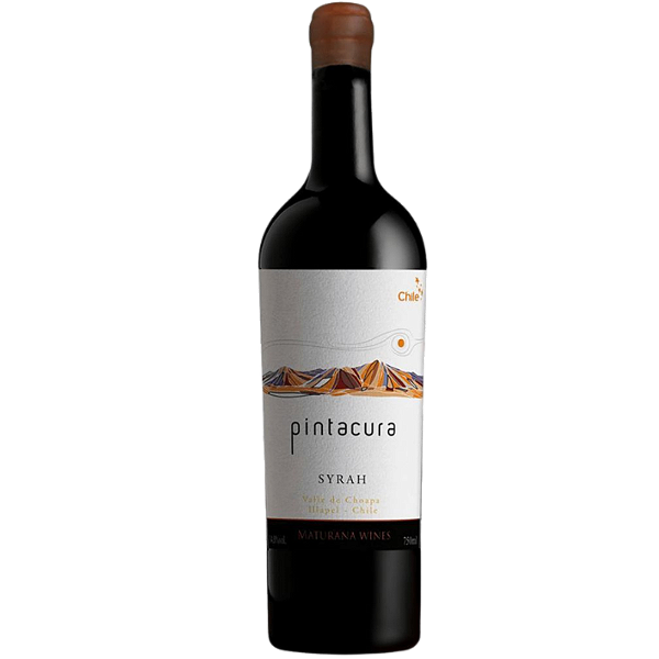 PINTACURA SYRAH 2022
