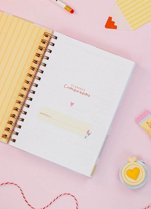 Planner da Coordenadora - Organização e Planejamento para Educadores