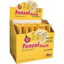 Fenzol Pasta - 20g - Anti-inflamatório para Equinos