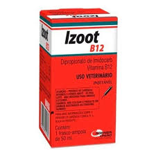 Izoot B12 Injetável 15ml