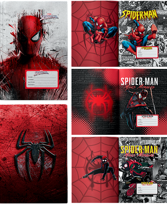 APLICAP 80/96 FLS CAPA DURA HA 05 BLISTERS C/04 ADESIVOS