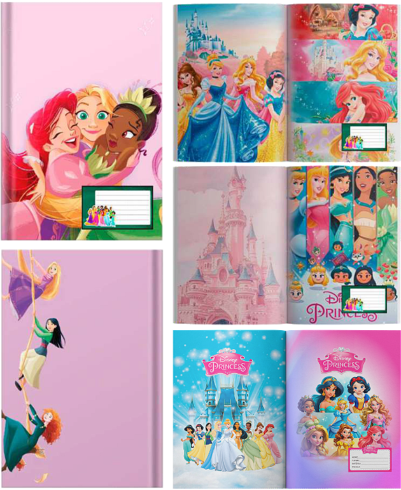 APLICAP 80/96 FLS CAPA DURA PD 05 BLISTERS C/04 ADESIVOS