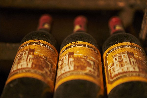 Chateau Ducru Beaucaillou - Le Petit Ducru de Ducru-Beaucaillou - Rouge - 2019