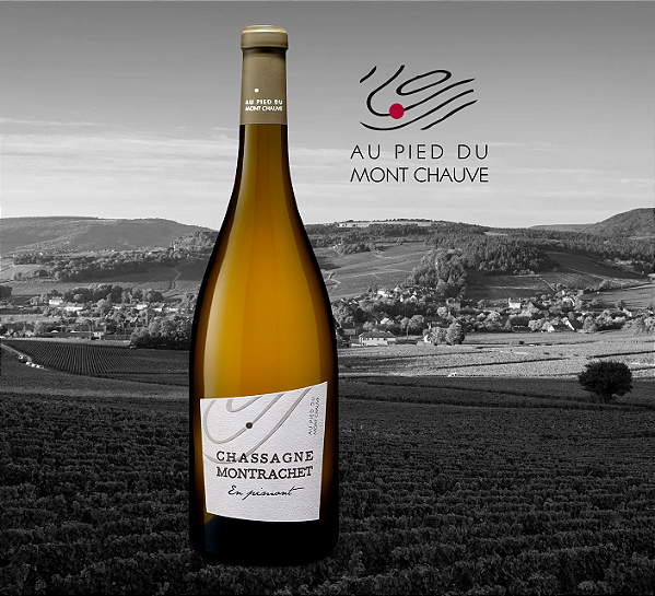 Test Au Pied Du Mont Chauve - Chassagne-Montrachet En Pimont - Blanc - 2023