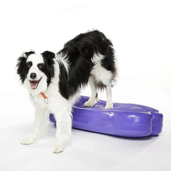 Plataforma Gigante De Treinamento De Equilíbrio Para Cães K9Fitbone