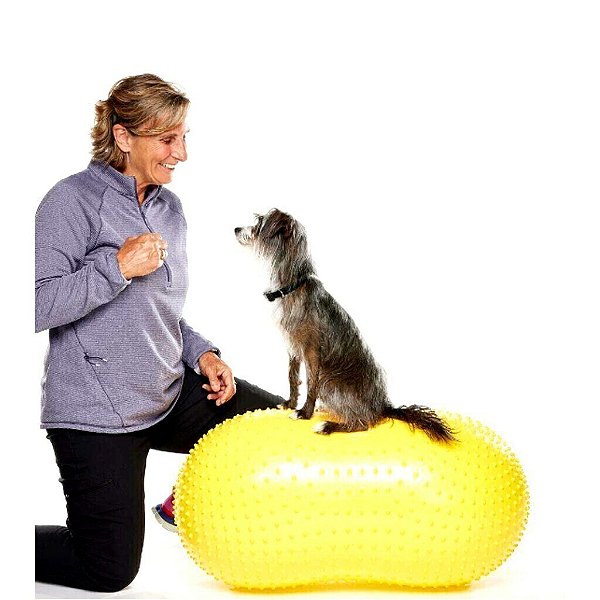 Bola Peanut Inflável FitPAWS® TRAX Para Cães