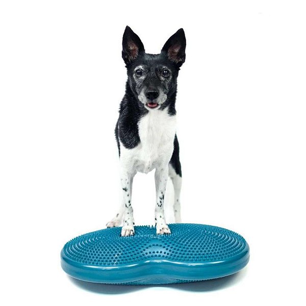 Plataforma de Equilíbrio Duo Disc