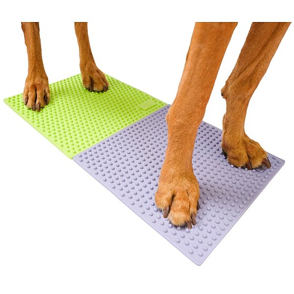 Pacote Duo Disc & Trax Target FitPaws para Cães