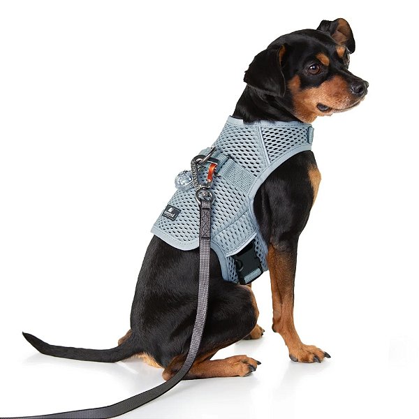 Peitoral e Coleira Martingale Calmante Sleepypod para Cães