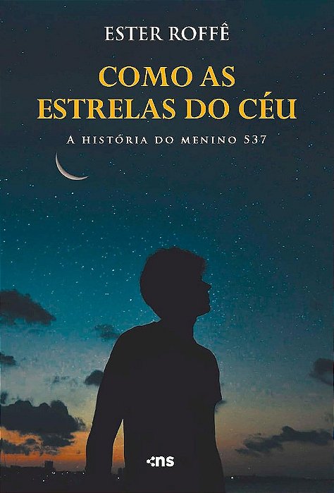 Como as Estrelas do Céu: A História do Menino 537