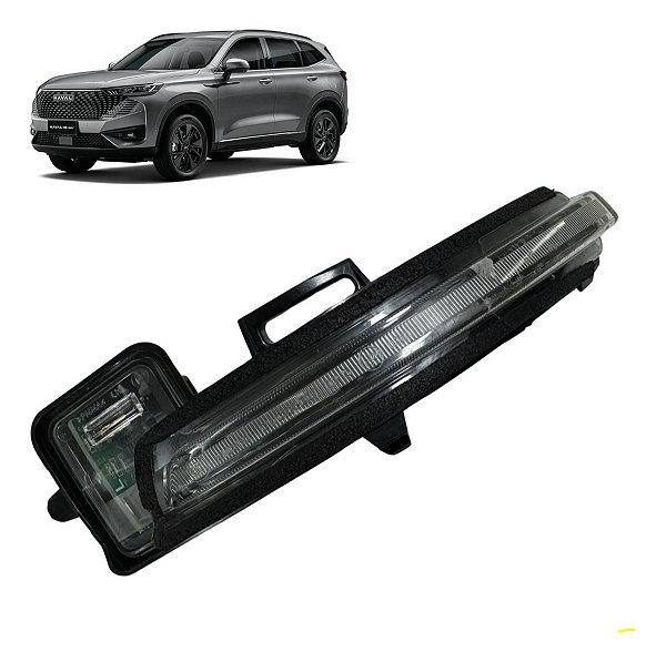 Seta Pisca Retrovisor Gwm Haval H6 2022 2023 2024 Esquerdo