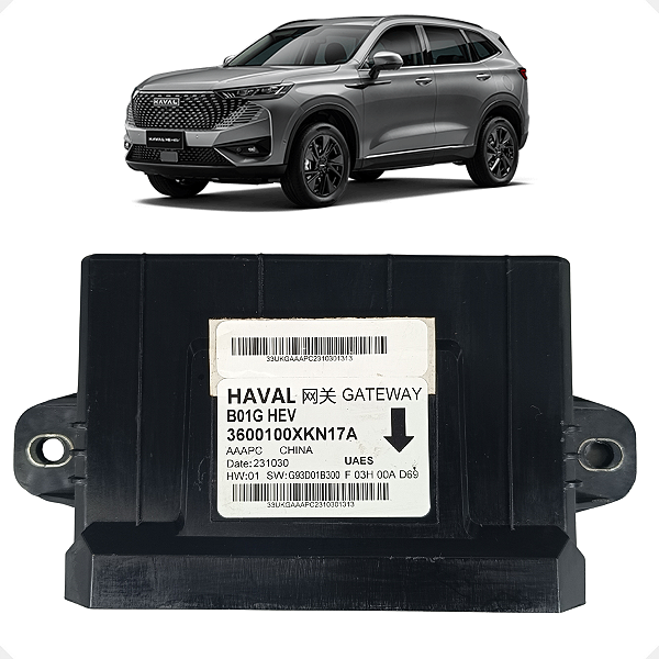 Módulo Central Gateway GWM Haval H6 1.5 Turbo 2023 2024