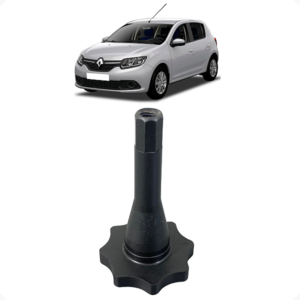 Parafuso Fixação Estepe Original Renault Sandero 2016