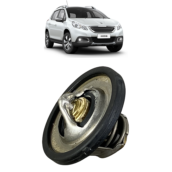 Alto Falante Traseiro Esquerdo Peugeot 2008 2015 a 2024