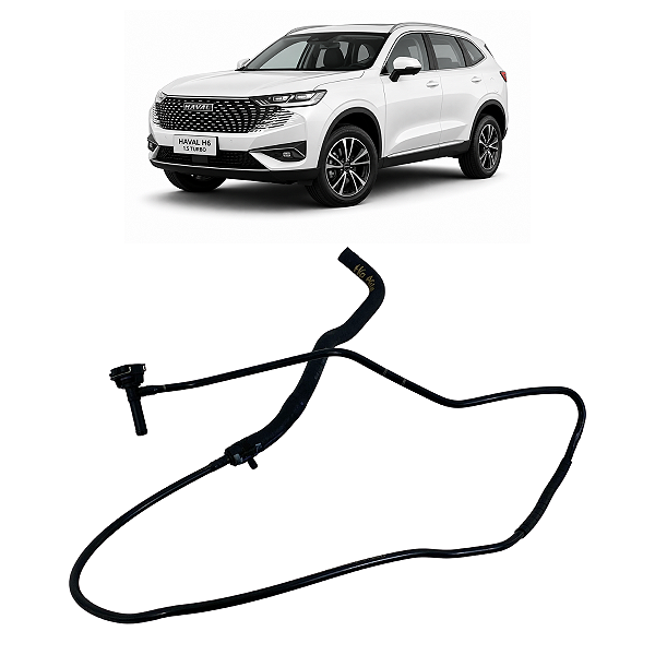 Mangueira Radiador GWM Haval H6 1.5 Turbo 2023 2024