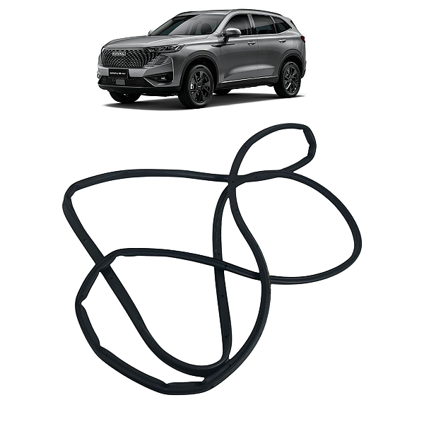 Borracha Anti Pó Porta Traseira Direita GWM Haval H6 2024