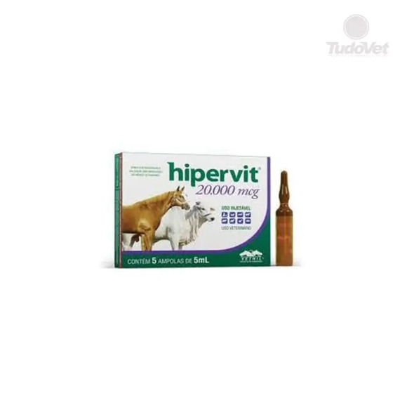 Hipervit 20.000 mcg 1 Ampola 5 ml