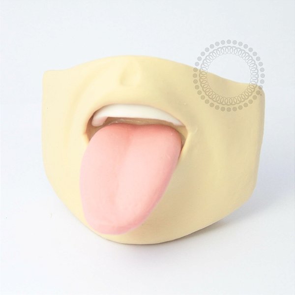 EP22 Expositor Boca com Língua de Silicone