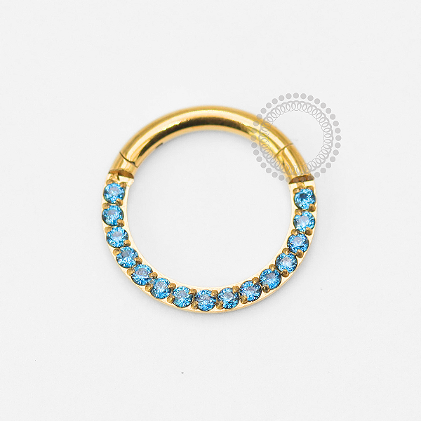 TN1856 Segmento Frontal CZ Safira Titânio PVD Gold