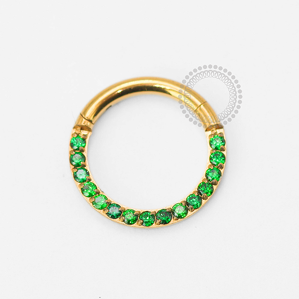 TN1857 Segmento Frontal CZ Esmeralda Titânio PVD Gold